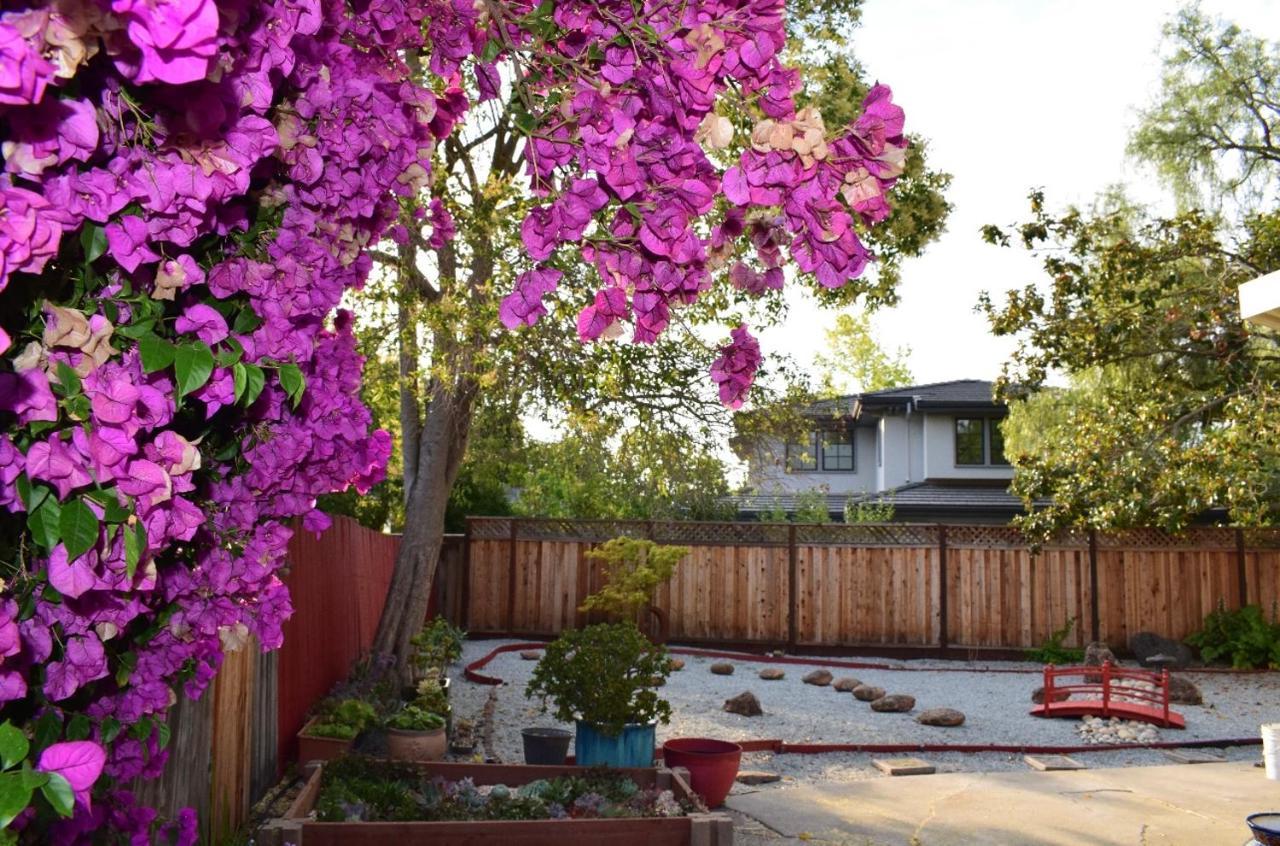 Palo Alto Quiet 1 Bedroom Stanford University Eksteriør billede